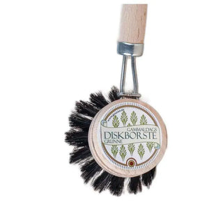 Grunne Diskborste Trä