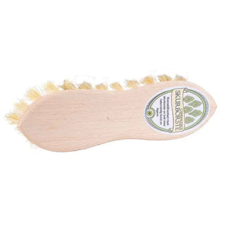 Grunne Skurborste Bok Växtfiberborst Ljus