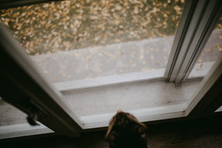 5 spöklika tips för ett rent hem inför Halloween - CleanNest
