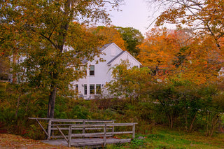 White house surrounded by autumn trees
