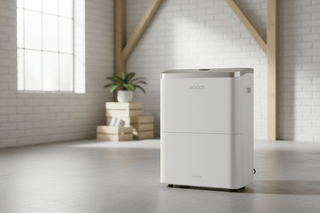 Woods SW-42FW — kraftfull avfuktare för stor källare - CleanNest