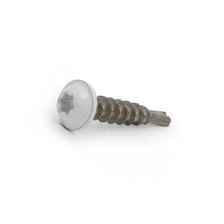 Bleckskruv 3,9X20 Vi Bsp Rf Brk=250 - FAST