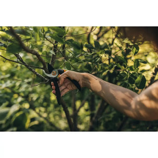 Hand som håller Fiskars P321 Solid™ sekatör för rena snitt av friska grenar