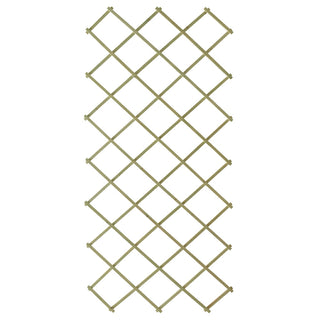 SPALJE TRÄ 100X200 GRÖNBETSAD RAK - NYBY
