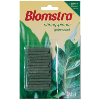 NÄRINGSPINNAR GRÖNA VÄXTER BLOMSTRA - BLOMSTRA