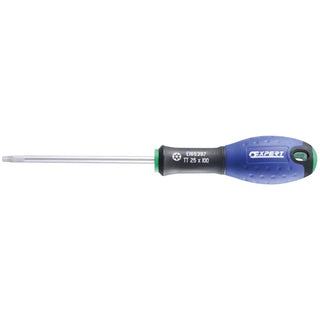 SKRUVMEJSEL TT20 X 100 MM - EXPERT