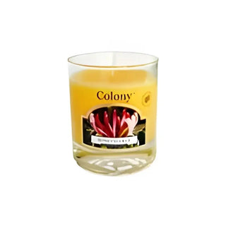 Doftljus i glas Honeysuckle från Min butik