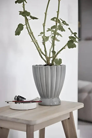 Grön växt i ljusgrå keramisk planteringskruka, perfekt för både klassiska städprodukter