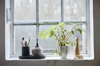 Bild av fönster med växt och badrumsaccessoarer på fönsterbrädan för LENE BJERRE Eliana Tandborstmugg i tidlös design och lyxig känsla