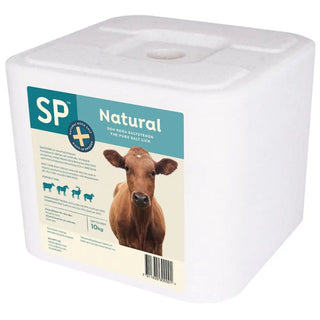 SALTSTEN NATURAL 10KG - SP